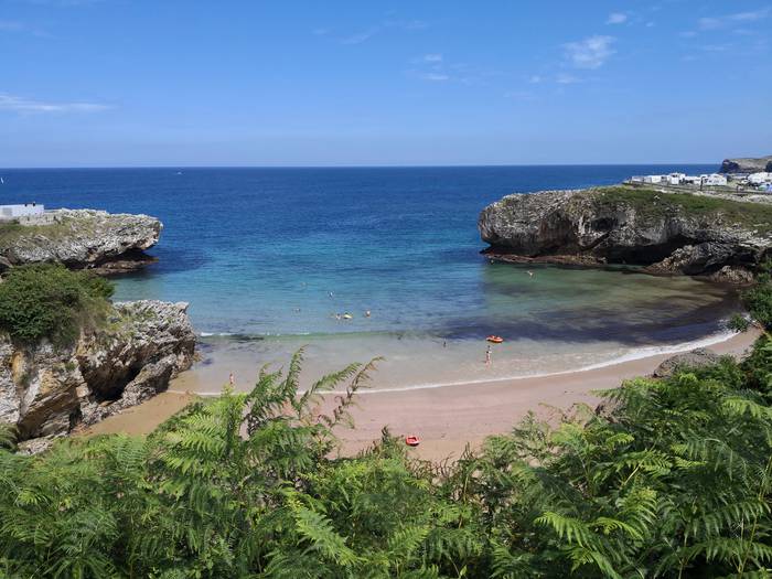 Paradisua