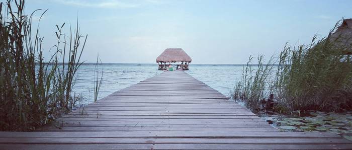 Bacalar Bacalao