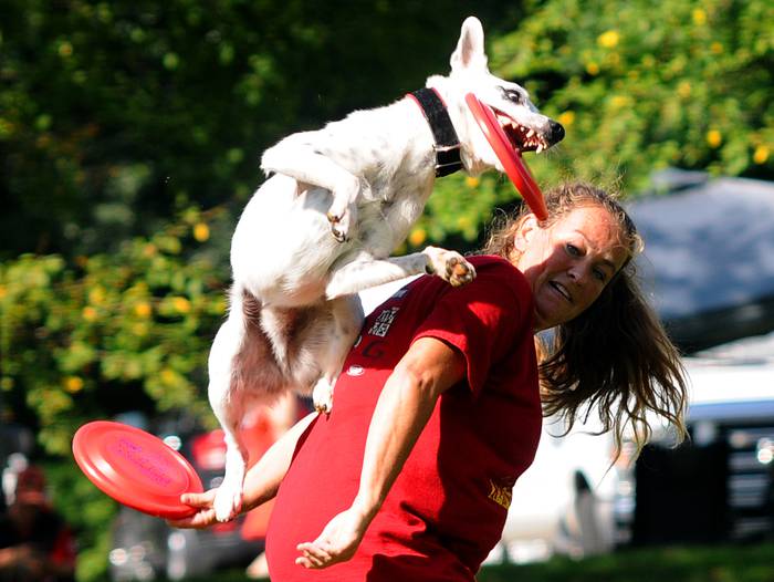 Disc dog erakustaldia egingo dute domekan Urdulizen