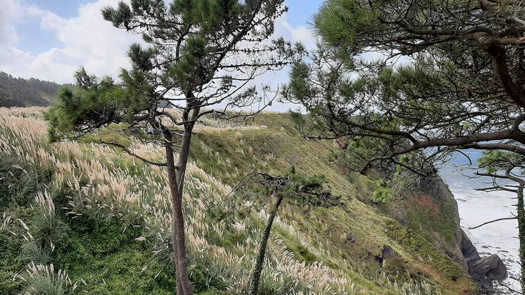 Eskualdeko panpa-lezka eta beste espezie inbaditzaileei buruzko berbaldia egingo dute