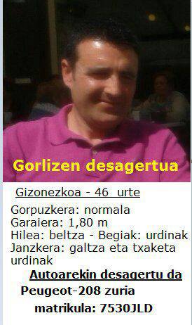 Gorlizko bizilagun baten bila ari dira