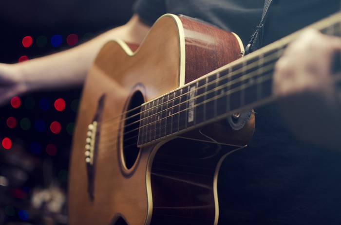 Plentziako Musika Klasikoaren Jaialdia, bertan behera