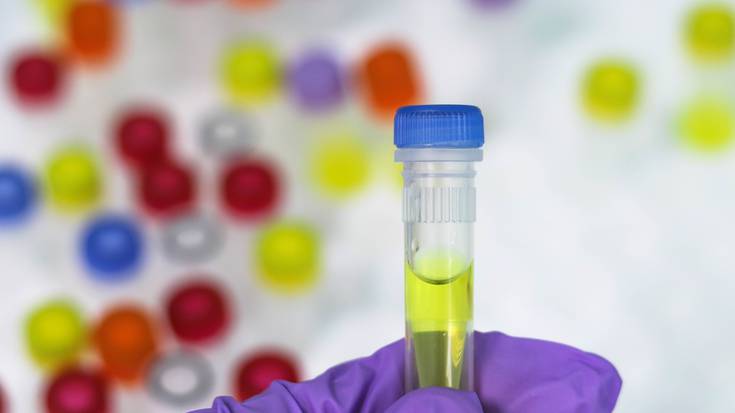 EHUko milatik gora irakaslek egin dute bat PCR testen gaineko adierazpenagaz