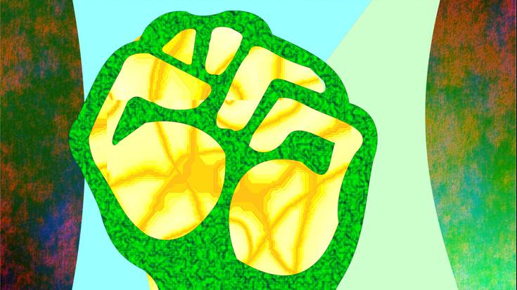 "Ecologia social y municipalismo libertario"