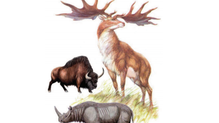 Uribe Kostako fauna, duela 400.000 urte